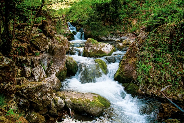Wanderung Niederösterreich Natur