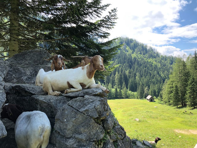 Nicht jeden Urlaubstag planen
